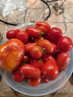 Service : aide aux courses Service : aide aux courses